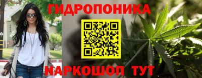jwh Сланцы
