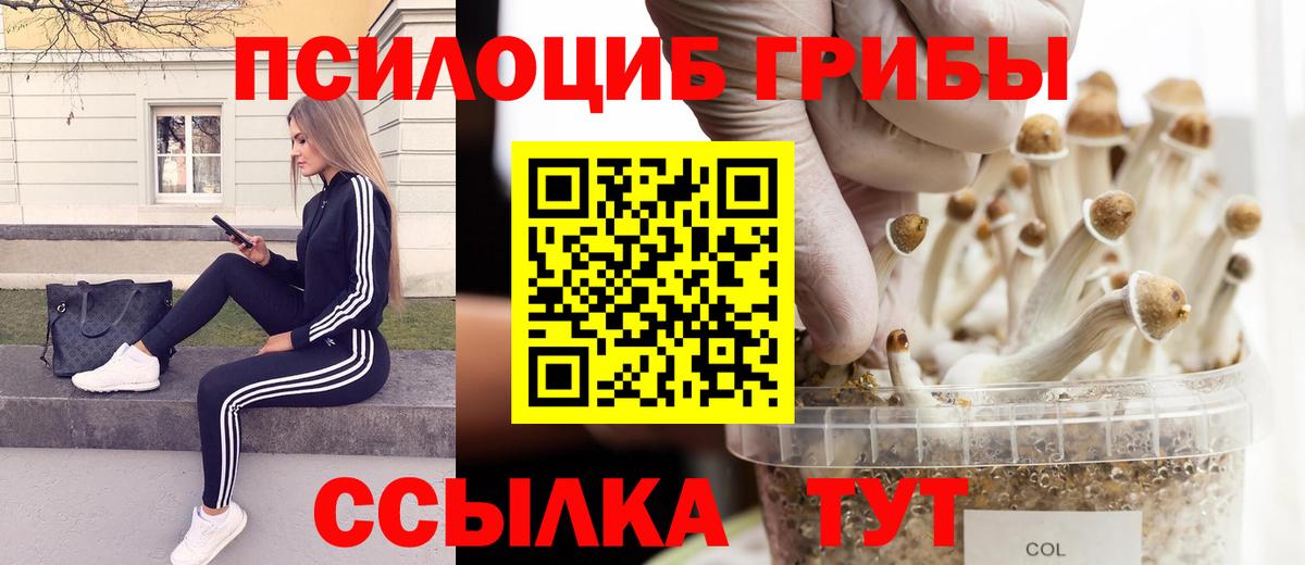 Псилоцибиновые грибы Magic Shrooms Новочебоксарск