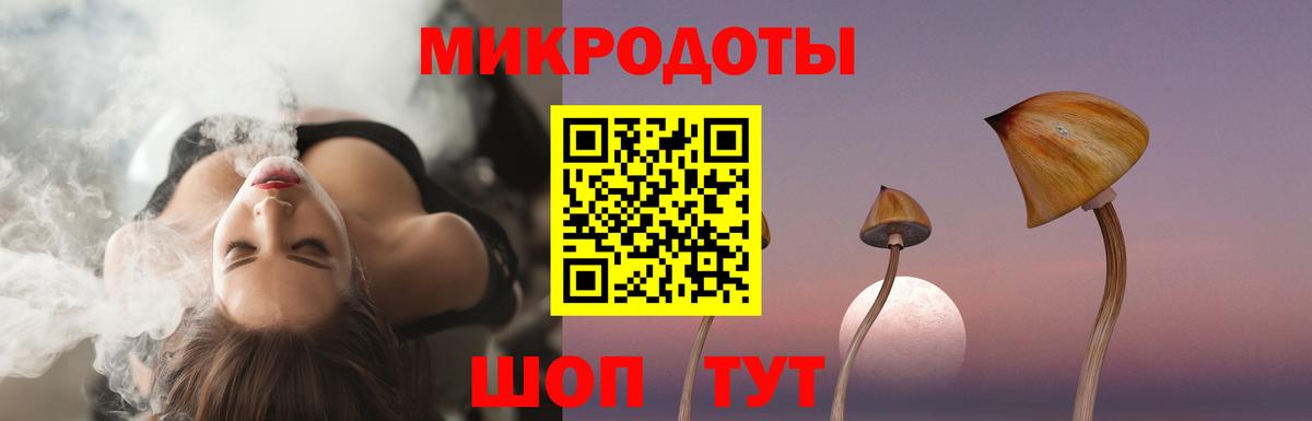 Псилоцибиновые грибы MAGIC MUSHROOMS  Вход с VPN  цены   Новочебоксарск  Галлюциногенные грибы GOLDEN TEACHER 